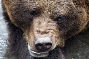 Не вопрос :)