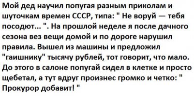 Смешные картинки с надписями 21.04.2016 
