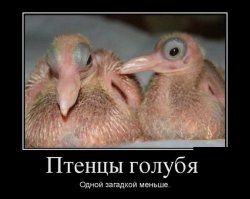 Немного сарказма