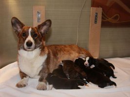 Наша Леди и 8 деток)))