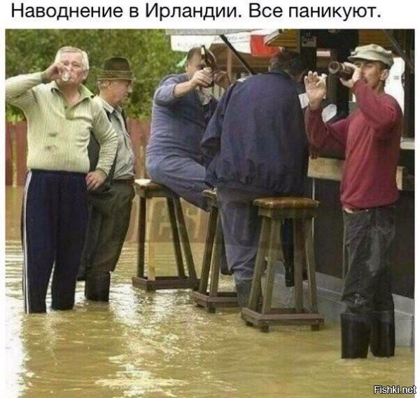 Проклятый режим! Все затопило! линевка не работает, все Путин разворовал!!! 