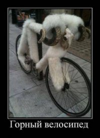 Для любителей горного экстрима .