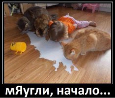 Детки, такие детки