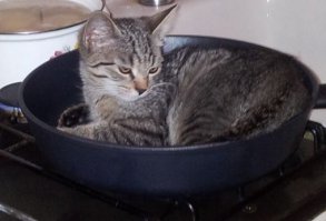 Ну может не совсем в тему, но мой вот так грустить начинал))