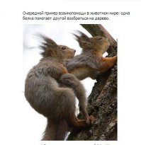 Картинки с надписями