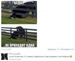 Картинки с надписями