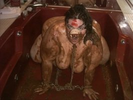 Я думаю ей место здесь!