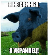 Французская чета передала семье Героя России Прохоренко орден Почетного легиона  