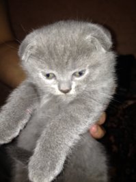 2 месяца и 2 года. Кот Мартин