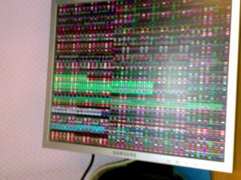 ну почему? разница градаций цвета всё-равно будет - а в этом тесте это главное (ну не беру во внимание совсем убитый монитор)