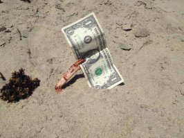 Мистер Крабс, ты ли это?