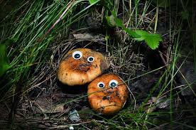 Игрушечные глаза меняют ВСЕ!