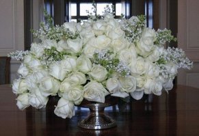 ...девушкам России...