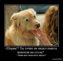 Игрушечные глаза меняют ВСЕ!