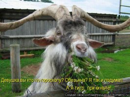 Замечательная тема!
Извините, не удержалась..