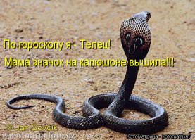 Замечательная тема!
Извините, не удержалась..