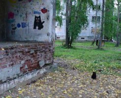 Фотоподборка за 22.04.2016