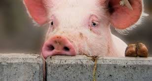 познавательно!:)