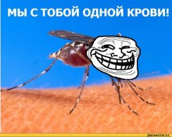  Теперь я знаю, почему комары кусают меня больше других