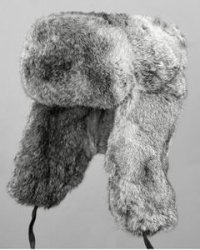 Как растет зайчишка