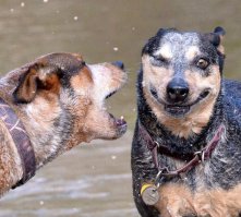 Удачный кадр