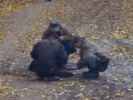 Дешево и сердито!