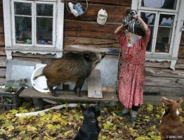 Хер знает, зачем я это опубликовал.