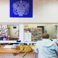 У  Нас Матоскин сам за письмом приходит, правда очередь сильно утомляет.
