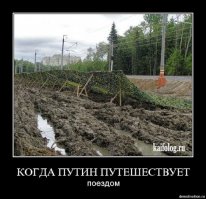 Потемкинские березки