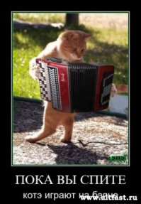 Бывший боец СОБРА приготовил для коллекторов ловушки в своей квартире