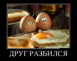 Всё ли мы знаем об яичнице ?