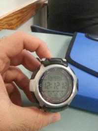 С 2001 года ими пользуюсь. Удобные часы с большим экраном.