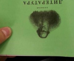 Первая брачная ночь Льва Николаевича Толстого