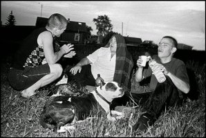 По иплету подобная публика будет стучать?