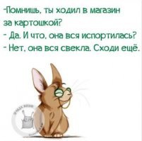 Смешные комментарии и высказывания из социальных сетей 