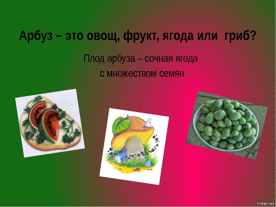 арбуз это ягода или тыквина. арбуз это ягода фрукт или овощ. почему арбуз ягода. арбуз это ягода или что. арбуз это ягода или тыквина или фрукт.