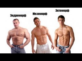 все люди разные: мышцы, кости, мозги и т.д.