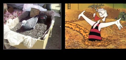 Воскресная подборка демотиваторов