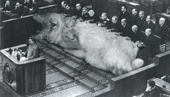 Ленин и Коты