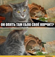 Нетипичные домашние питомцы: ящерица тоже может быть очень милой!