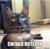 Смешные комментарии и высказывания из социальных сетей 