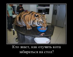 Храм тигров