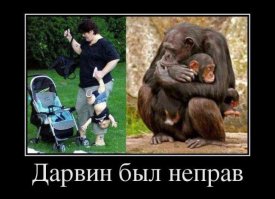 Родители, которым нельзя доверять детей