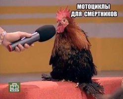 Истинное лицо мотохейтеров на фишках