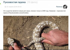 мне так больше нравилось))