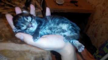 нам почти неделя.