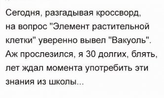 Немного сарказма