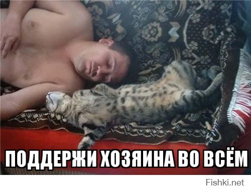 Сумасшедшие моменты, когда поддержка просто необходима