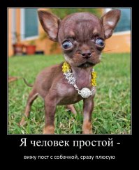 А я сказал пусть еще поспит! 