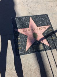 да это фигня, вот вам квест, найдите звезду:
вокруг которой построили Голливуд;
за которую оплатила японская ящерица;
на которую сдавала бутылки вся американская киноакадемия
куплена в складчину полицейскими Л.А.))